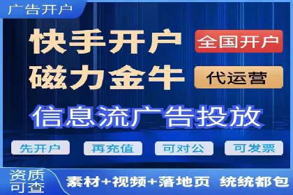 解析某某SEM服务公司的广告投放策略与效果评估